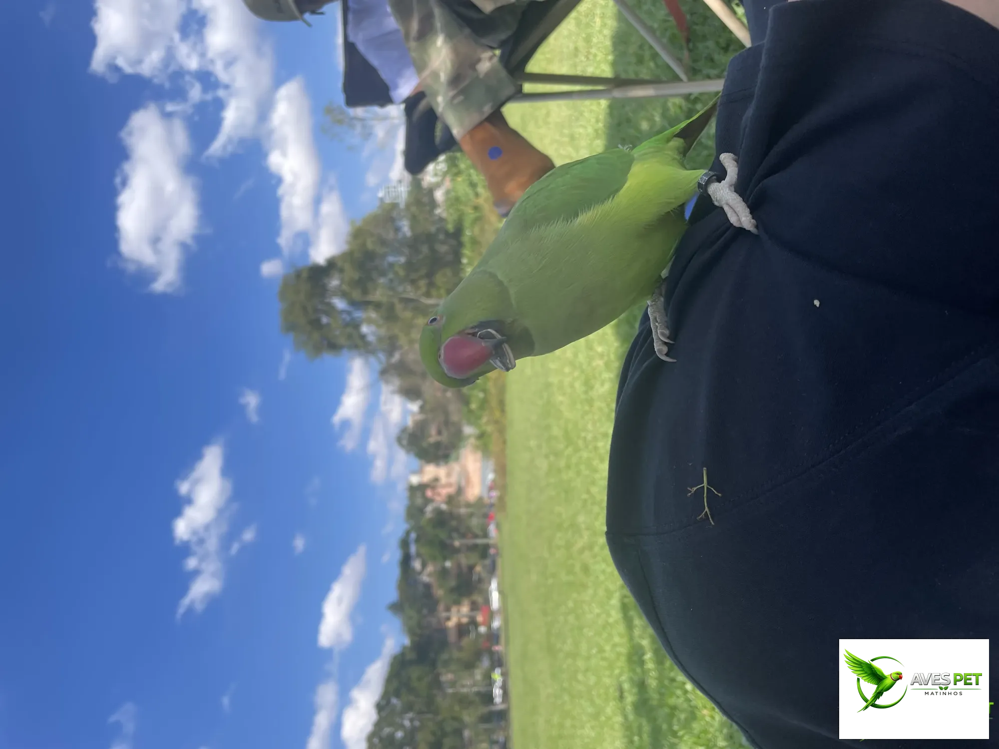 Foto de Jessica Benneti