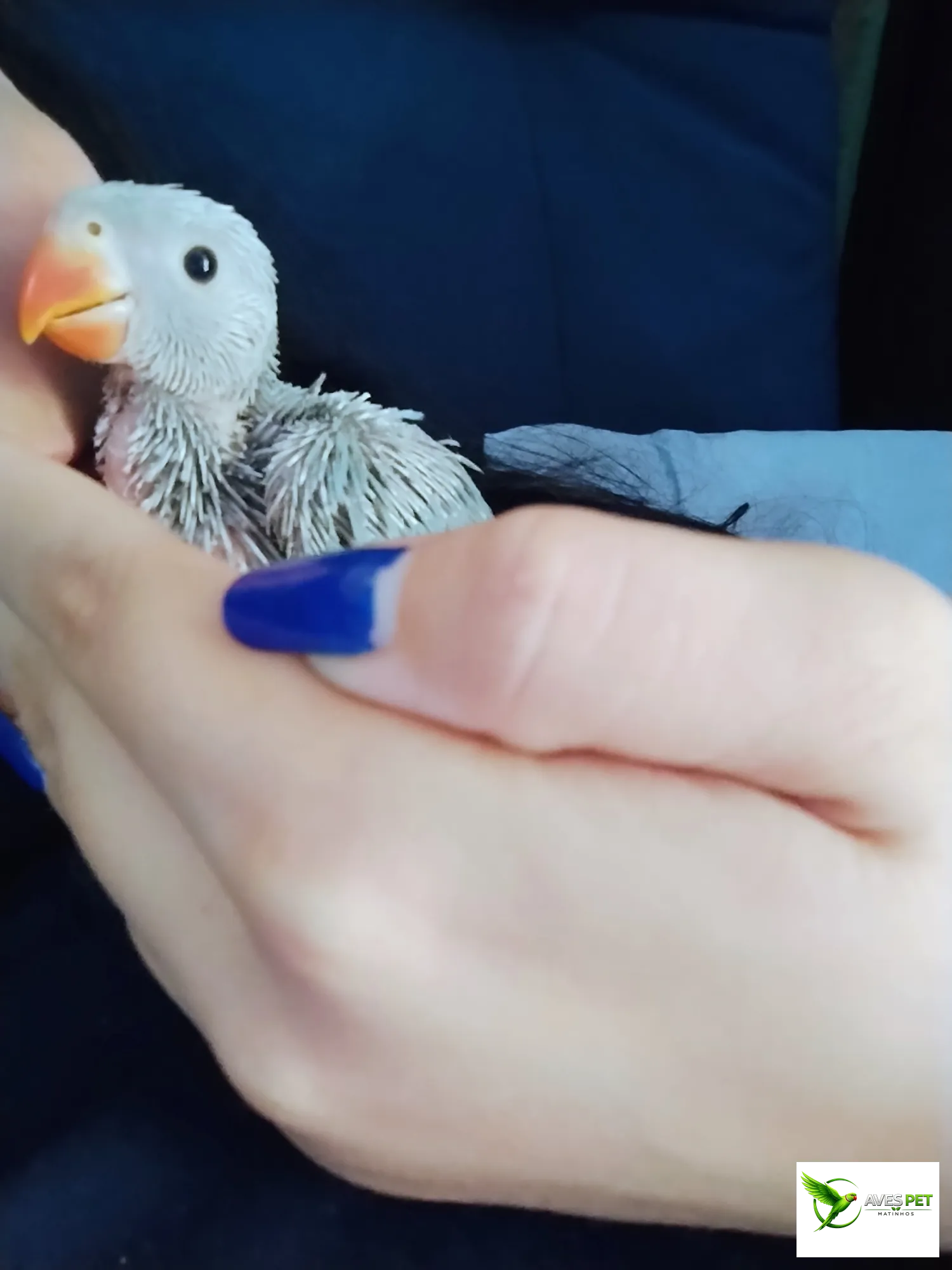 Foto de Sabrina