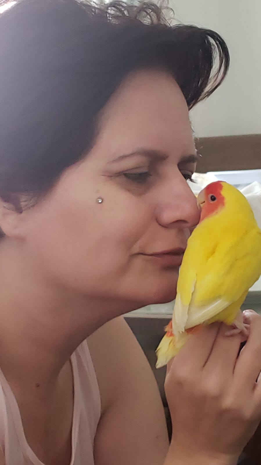 Kiko, Mestre, Dorinha, Blanca, Florence, Maria, Agostinho, Rutinha, Inácio, Bebel, Marvin, Monalisa, Chaplin, Quindin, Alecrin